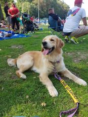 c149c908083b5c595bbd21025cd73370_174x232_fill