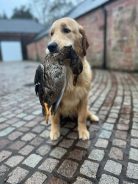 c17b6cfb4511988e1de7fce6b8687e58_138x184_fill