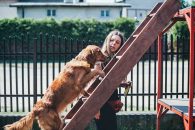 c21151c11cb3a99f5aa369e1c81b3fc5_195x130_fill