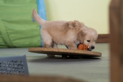 c21ba28cd82f42934fba2643513932a8_246