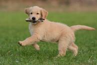 c258e9a38370f17667895843e184e0fb_194