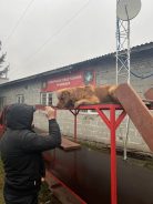 c2af79cbf33fac61f83da089e68ea953_138x184_fill