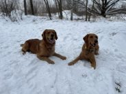 c36b406c853590db4c6b63ce76bf8714_184x138_fill