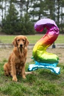 c3fe693baead26e8acbcefc189b77d42_130x195