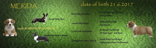 c45178ca91ae85d6569e3926bdb8f257_535