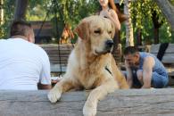 c48a8ea1ae4d399c0d2d9d2fb61aef97_195