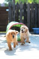 c521663ebefdd041fe888319958930f8_130x195_fill