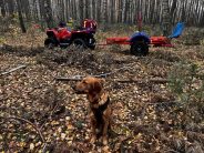 c53de1eb0864e85fd8525d6822685540_184x138_fill