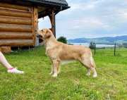 c54fd0dbc40efa7bc24201acf21bea23_180