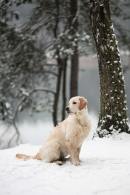 c5eb9ac5ec3089a8715d8b3f7572217f_130x195_fill