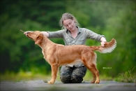 c5f6cb991ae9c5042d7ed5a795794321_195