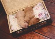 c6172a71d62d600e406806eb613ddca2_190