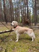 c63f3f75dad4b7db46d696e1469f6d3b_138x184_fill