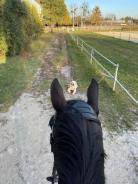 c680f5f7e37a0810fce8300d04d1fd05_138x184_fill