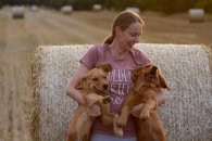 c6d164fa39d23d337af0c9e48c5c054c_195