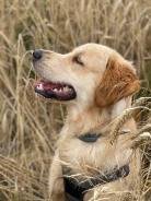 c6e2887c9e2421917de20c980cb81d7a_138x184_fill