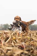 c6e74a8208cbffdd042b677bf5596c7f_130x194