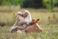 c6f1a31d82b8d13d39eff749fa19717b_195x130_fill