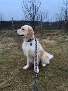 c7341c3628e7687f53cf38d9eabce20d_138x183