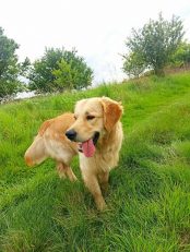 c7af5edbdcb39399a995530e65bdc7ad_174x231