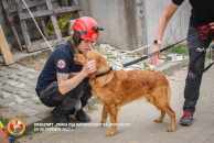 c7c433e31fa1e2689f4e5116cbcef628_194