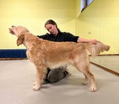 c7e69c9a51fd309fb39b747cd7559cf1_172