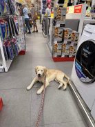 c80af0fdd2f0ed42ce851fb55ab0eb64_138x184_fill