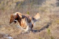 c83f65e9e5b9bd927d56acdaad824dac_194