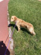 c855e5a34812fa5530e889762aa74d6c_138x184_fill