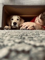 c87e6e7dec1d339e3a251ca71a21ed2b_174x232_fill