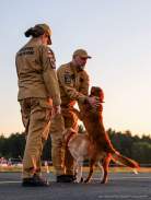 c8cf2f87c51db2d5c84c668b6674df30_138x183