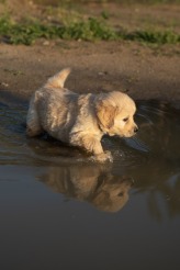 c90d3f9d88192cb8f0389c3131fb6435_164x246