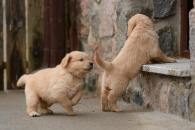 c9b9e89432b6ddbf2b2626cd114aedbe_195