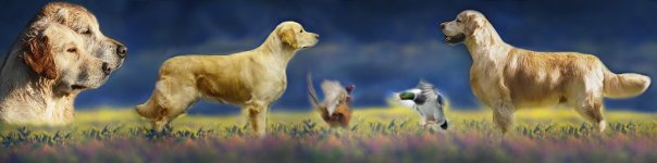 ca5c8ccb64c006010c3993c0eb97351f_604