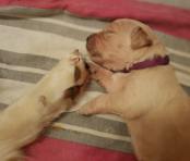 ca63c335ec4a91977c281d3c870b5171_174