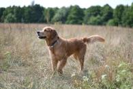 ca7a147da30d79674accf8e722fca592_195