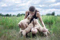 cb3de9771af814b44dc5a96deadccc5f_195