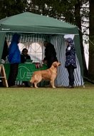 cb8500a38c6644013a2a13ddd102b51a_132x191