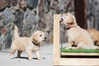 cb8b14695e2b08854329726caccd4ce2_195