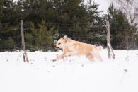 cbcccb8c5e027b3f03a0375290e796c6_195