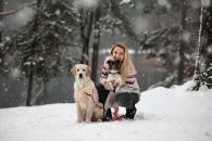 cbd5415ab1d35e23f275e44ed34bf4f5_195x130_fill