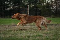 cbfc9915ec9197233eb3285f1fd688df_195x130_fill