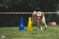 cc0f3cc6b873a4beb46009cd697d7ef3_194