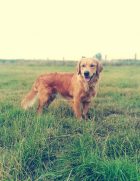 cc1072aeb474f3833ba5e551f598f2a6_140x181