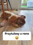 cc2ed7891df16d6129ee8860c585dbcc_138x185