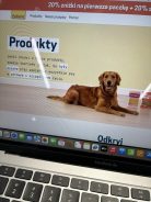 cc31bddfba0e07ad32f17b42a37aa9d7_138x184_fill