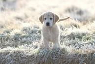 cc3f7099da996b0b5febf3d82f161f1d_194