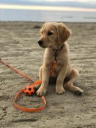 cc5d0fc4bd6ac8042e787e020491af97_138x184_fill