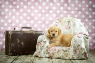 cd25bbf69aac7981682474b189c33035_195