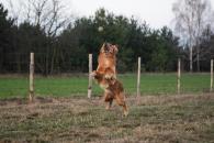 cdc3ec25da529dead4256c7546b15cf1_195x130_fill